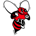 Baldwinsville (NY) school logo