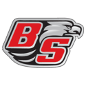 Bermudian Springs school logo