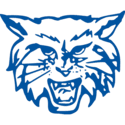 Dallastown school logo