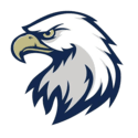 Bald Eagle Area school logo